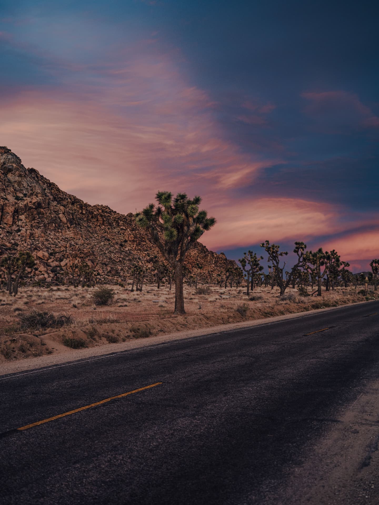 Joshua trees and a desert road under a dusk sky